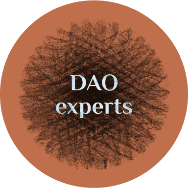 DAO Experts